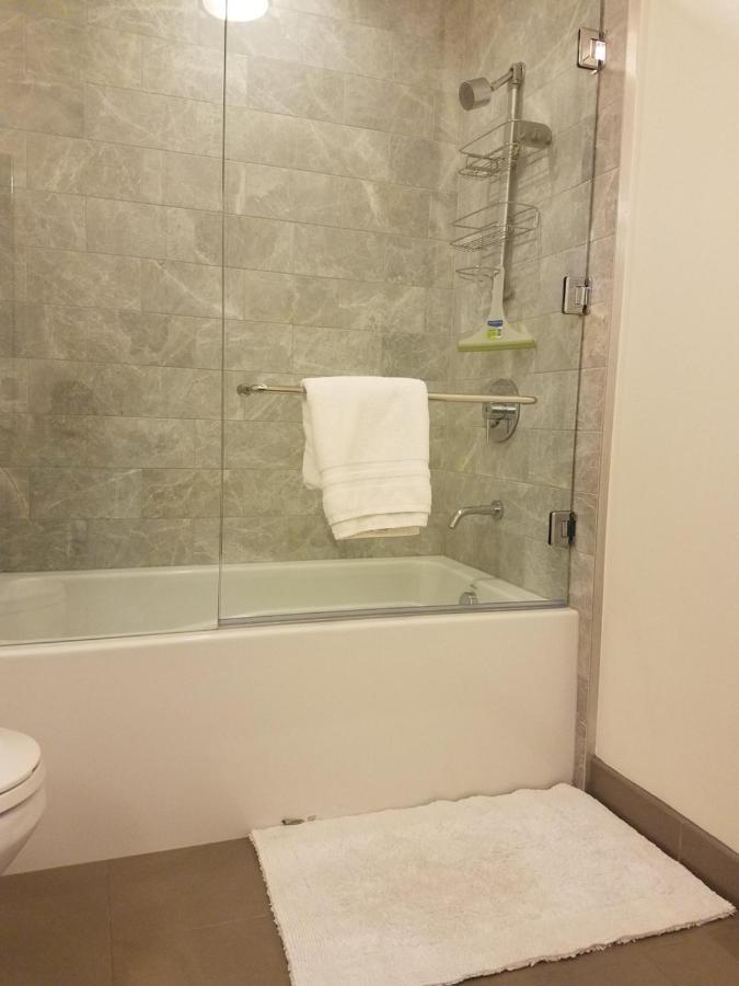 Apartment Cityscape Luxury Tower One Bedroom